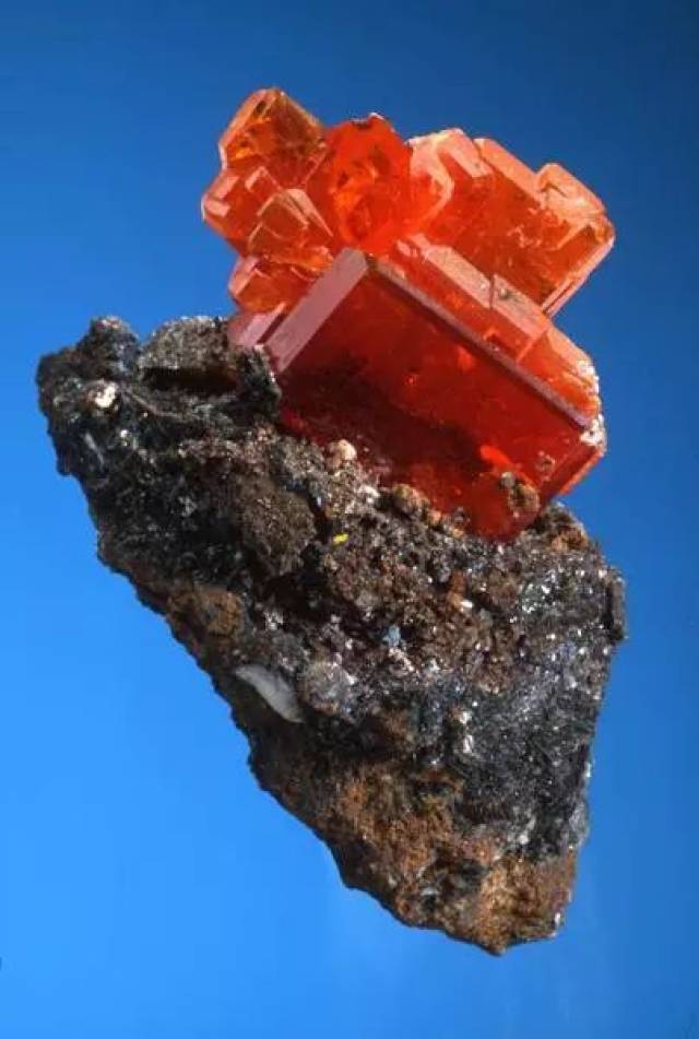 .涯?瘍l?钼1〃??的简单介绍